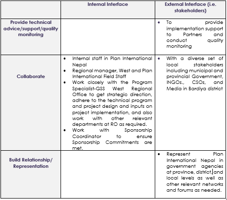 plan international job vacancy 3